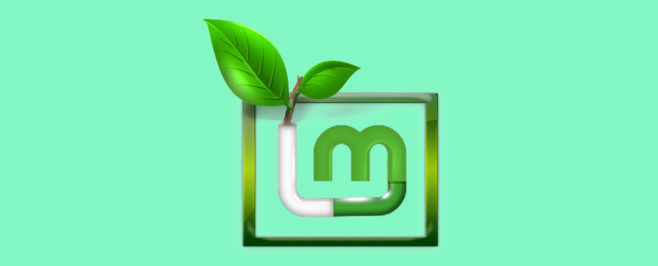 Пошаговая установка Linux Mint