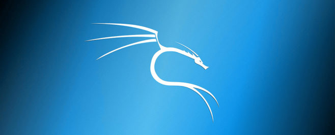 Инструкция по установке Kali Linux