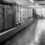 IBM представила в Гарварде Giant Brain